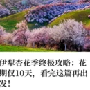 伊犁旅游 缩略图 1