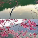 三明旅游 缩略图 15