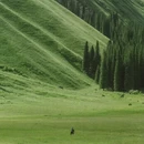 伊犁旅游 缩略图 1