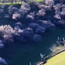 伊犁旅游 缩略图 6