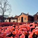 漳州旅游 缩略图 3