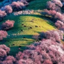 伊犁旅游 缩略图 4