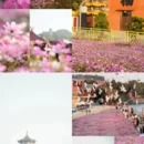 漳州旅游 缩略图 12