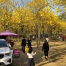 漳州旅游 缩略图 15