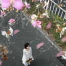 漳州旅游 缩略图 10