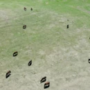 伊犁旅游 缩略图 3