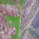 伊犁旅游 缩略图 1