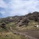 伊犁旅游 缩略图 1