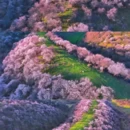 伊犁旅游 缩略图 4