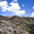 伊犁旅游 缩略图 9