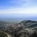 伊犁旅游 缩略图 16