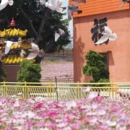 漳州旅游 缩略图 18