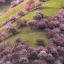 喀什地区旅游 缩略图 3