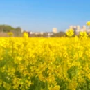 漳州旅游 缩略图 5