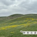 伊犁旅游 缩略图 1