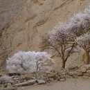 喀什地区旅游 缩略图 7