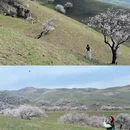 伊犁旅游 缩略图 6
