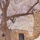 喀什地区旅游 缩略图 2