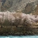 喀什地区旅游 缩略图 3