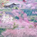 漳州旅游 缩略图 1