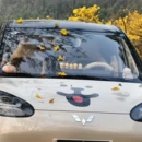 厦门旅游 缩略图 5