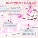 伊犁旅游 缩略图 17