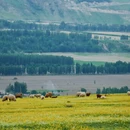 伊犁旅游 缩略图 1