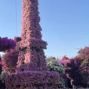 漳州旅游 缩略图 4