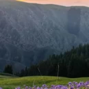 伊犁旅游 缩略图 3