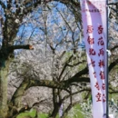 喀什地区旅游 缩略图 5