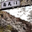 伊犁旅游 缩略图 15