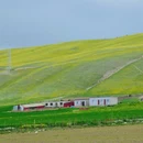 伊犁旅游 缩略图 3