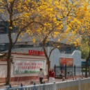 漳州旅游 缩略图 1