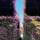 漳州旅游 缩略图 5