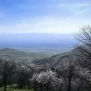 伊犁旅游 缩略图 8