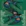 石家庄