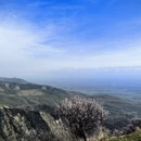 伊犁旅游 缩略图 14
