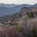 伊犁旅游 缩略图 2