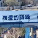 伊犁旅游 缩略图 13