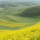伊犁旅游 缩略图 4