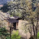 宁德旅游 缩略图 15