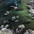 伊犁旅游 缩略图 7