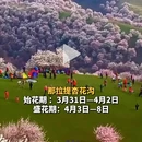 伊犁旅游 缩略图 2