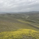 伊犁旅游 缩略图 5