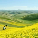 伊犁旅游 缩略图 3