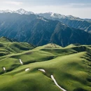 伊犁旅游 缩略图 3
