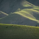 伊犁旅游 缩略图 4
