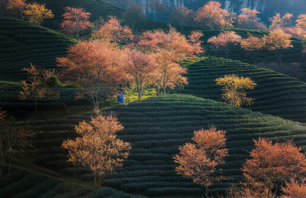 伊犁旅游