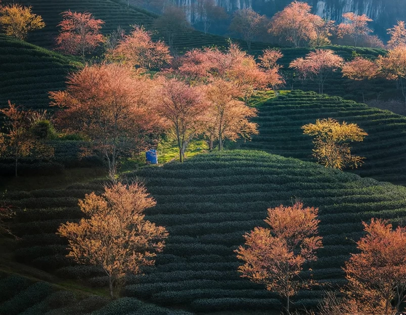 伊犁旅游 1