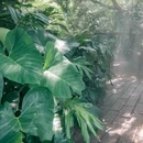 厦门旅游 缩略图 9